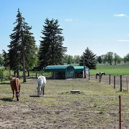 Barrierefreie Trüben Apartment Bornum