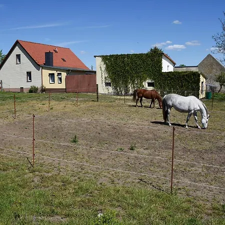 Barrierefreie Trüben Apartment