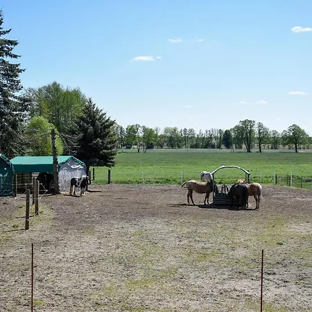 Apartment Barrierefreie Trüben Bornum