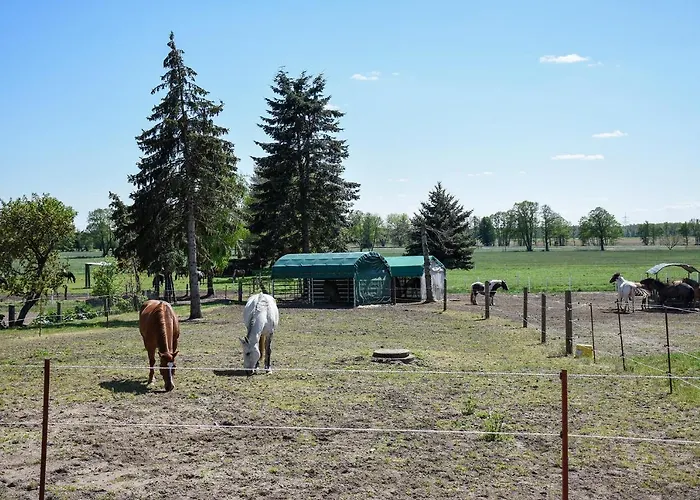 Barrierefreie Trüben Apartment Bornum