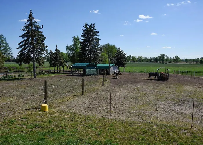 Apartment Barrierefreie Trüben