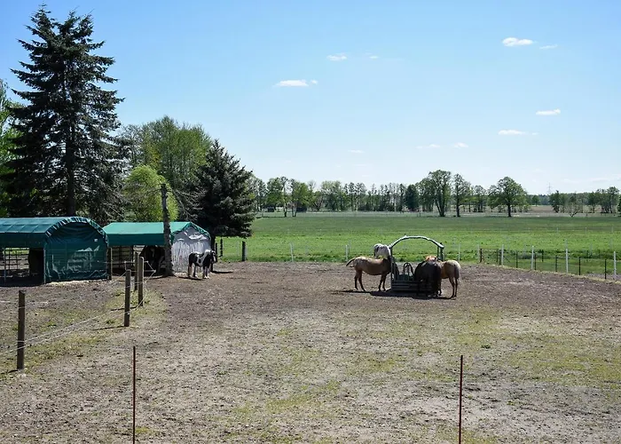 Apartment Barrierefreie Trüben Bornum
